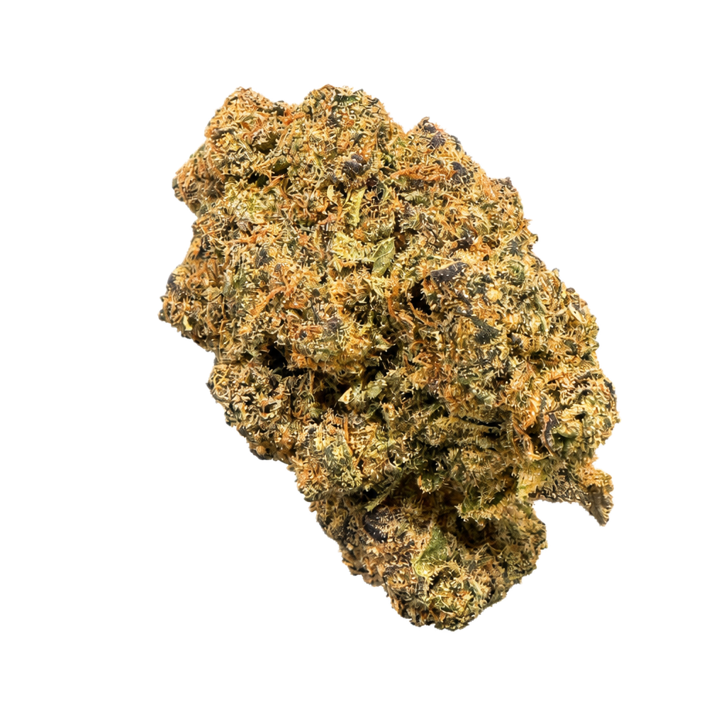 A macro photo of a Flower Boy BoofScotti cannabis bud