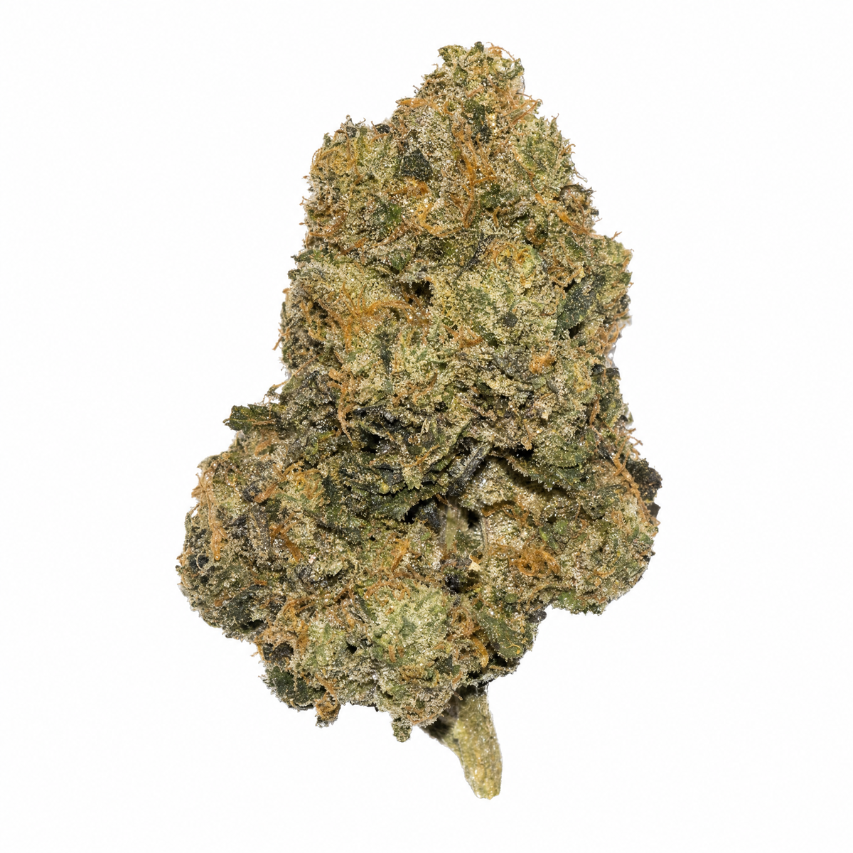 A Flower Boy Zkittlez cannabis bud